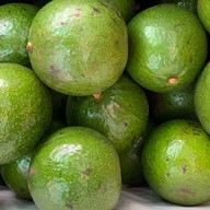 Sweet Fruity - เอกมัย