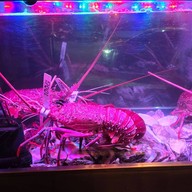 บรรยากาศ El Gaucho Argentinian Steakhouse สุขุมวิทซอย 19