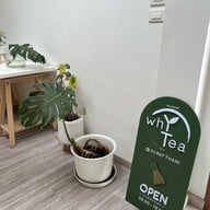 whY Tea • Specialty Tea House  1