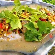 นางนวลพัทยา