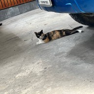 SUPER BOWL ศรีนครินทร์