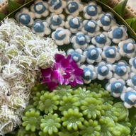 รสริน ขนมถ้วยโบราณเขาใหญ่  -