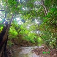 ฟาร์มในใจcafe'