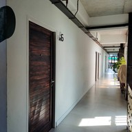 The Wood