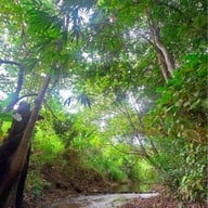 ฟาร์มในใจcafe'