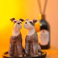 Somewhere In Songwat Cafe