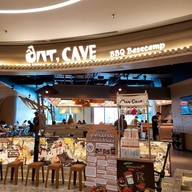 Ant cave  -