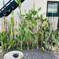 Centra By Centara Cha-am Beach Resort