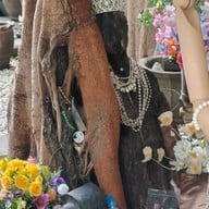 บริษัท บี สตอรี่ การ์เด้น จำกัด B-STORY GARDEN