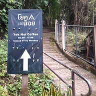 บรรยากาศ Yok Noi Coffee Camp โยคน้อย