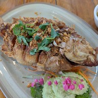 ทอฮัก การ์เด้นแอนด์เรสเตอรอง