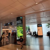 Jewel Changi Airport