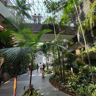 Jewel Changi Airport