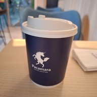 Pacamara ตึกภูมิสิริ รพ.จุฬาลงกรณ์