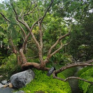 หน้าร้าน Harudot By Nana Coffee roasters Chonburi