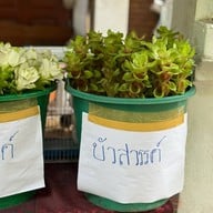 บรรยากาศ วัดอุโมงค์ (วัดสวนพุทธธรรม)