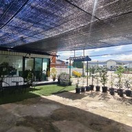 ปลื้มcoffee ติ่มชำ&กระเพรา&เบอร์เกอร์