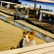 มูเตเล (Mu Te Lay)