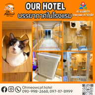 แมวโอ้เหมียว Oh Meow Cat Hotel