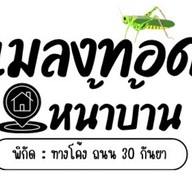 Top's แมลงทอดหน้าบ้าน ทางโค้ง ถนน 30 กันยา