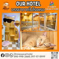 แมวโอ้เหมียว Oh Meow Cat Hotel