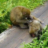 บรรยากาศ Kamikochi