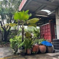 บ้านสวนหนองแค