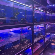 ตลาดปลาจตุจักร