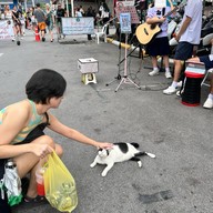 ตลาดจตุจักร