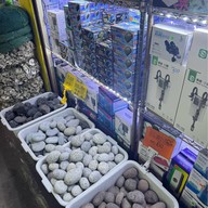 ตลาดปลาจตุจักร