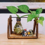 Hwantsu Creative Cafe