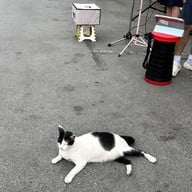 ตลาดจตุจักร