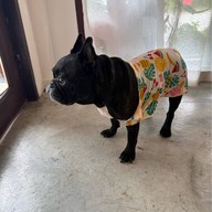 Happy Mum Happy Me นวมินทร์ 42