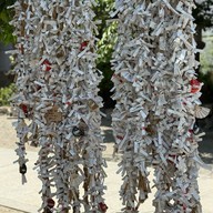 บรรยากาศ namba yasaka shrine