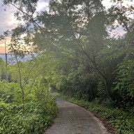 ป่าในเมือง - ช่อง5 (เขาคอหงส์)