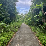 ป่าในเมือง - ช่อง5 (เขาคอหงส์)