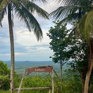 ป่าในเมือง - ช่อง5 (เขาคอหงส์)