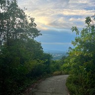 ป่าในเมือง - ช่อง5 (เขาคอหงส์)