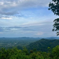 ป่าในเมือง - ช่อง5 (เขาคอหงส์)