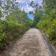 ป่าในเมือง - ช่อง5 (เขาคอหงส์)