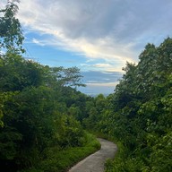 ป่าในเมือง - ช่อง5 (เขาคอหงส์)