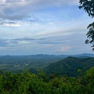 ป่าในเมือง - ช่อง5 (เขาคอหงส์)