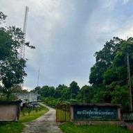 ป่าในเมือง - ช่อง5 (เขาคอหงส์)