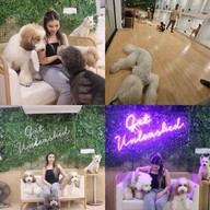 Zucca - The Pet Sanctuary & Cafe Zucca Cafe