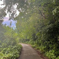 ป่าในเมือง - ช่อง5 (เขาคอหงส์)