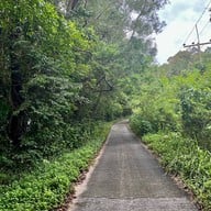 ป่าในเมือง - ช่อง5 (เขาคอหงส์)