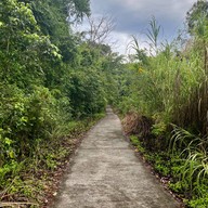 ป่าในเมือง - ช่อง5 (เขาคอหงส์)