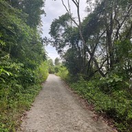 ป่าในเมือง - ช่อง5 (เขาคอหงส์)