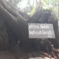 สวนสันติอโศก