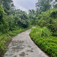 ป่าในเมือง - ช่อง5 (เขาคอหงส์)